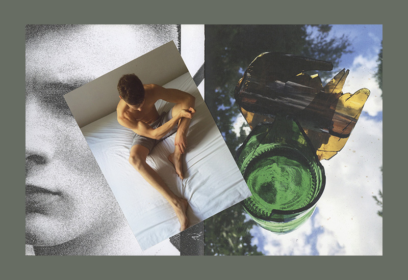 Peter De Potter: The Vanity of Certain Flowers (2016, with