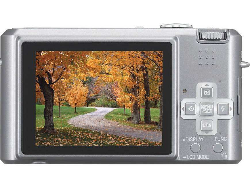Panasonic Lumix® DMC-FX100 (Silver) 12.2-megapixel camera with