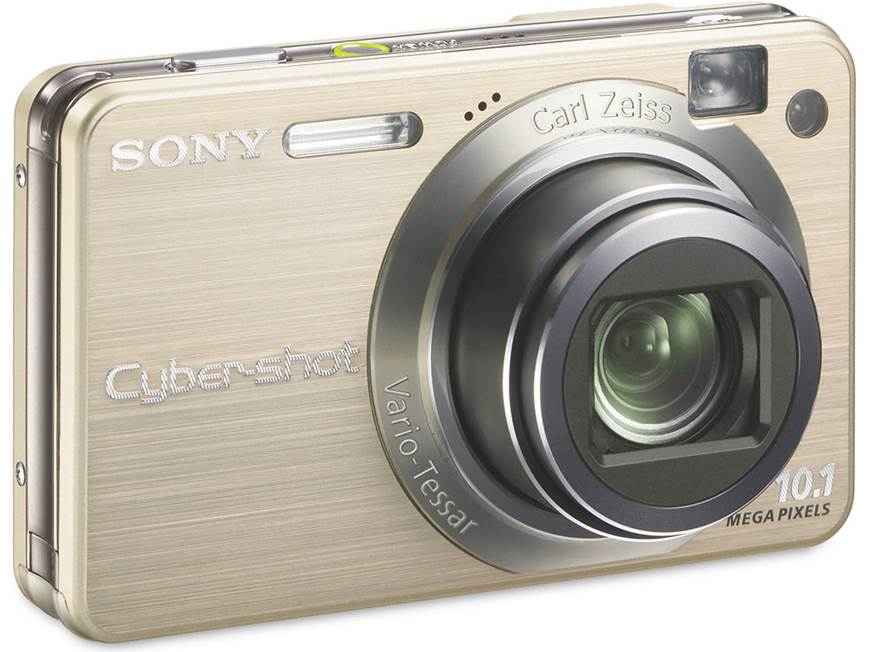 Sony Cyber-shot DSC-W170 (Silver) 10.1-megapixel digital camera