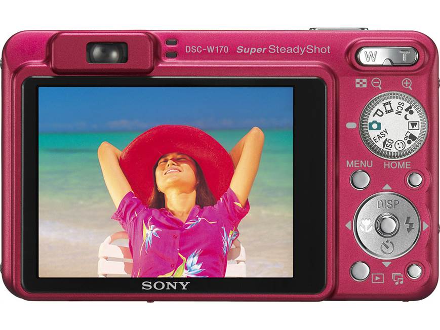 Sony Cyber-shot DSC-W170 (Red) 10.1-megapixel digital camera with