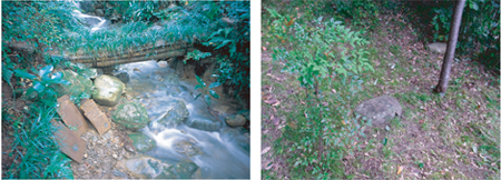 緑の森の一角獣座 1995―2015 記録」展 （gallery 福果） ｜Tokyo Art Beat