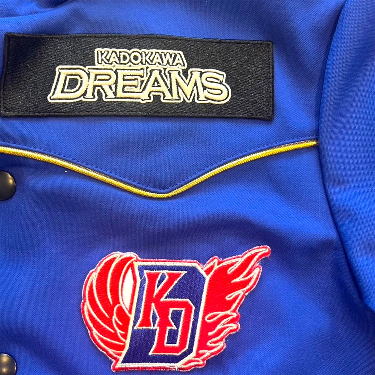 HATTRICK（ハットトリック）-選手の想いをファンへ届ける公式