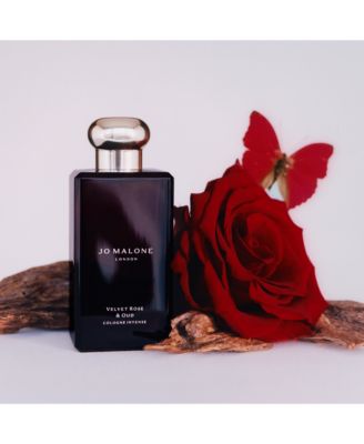 Jo Malone London Velvet Rose & Oud Cologne Intense | Bloomingdale's