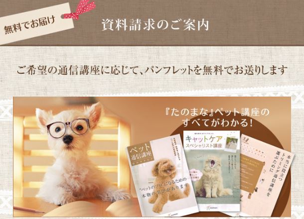 通信】ペットホテル開業講座 | ヒューマンアカデミー（通信） 通信講座