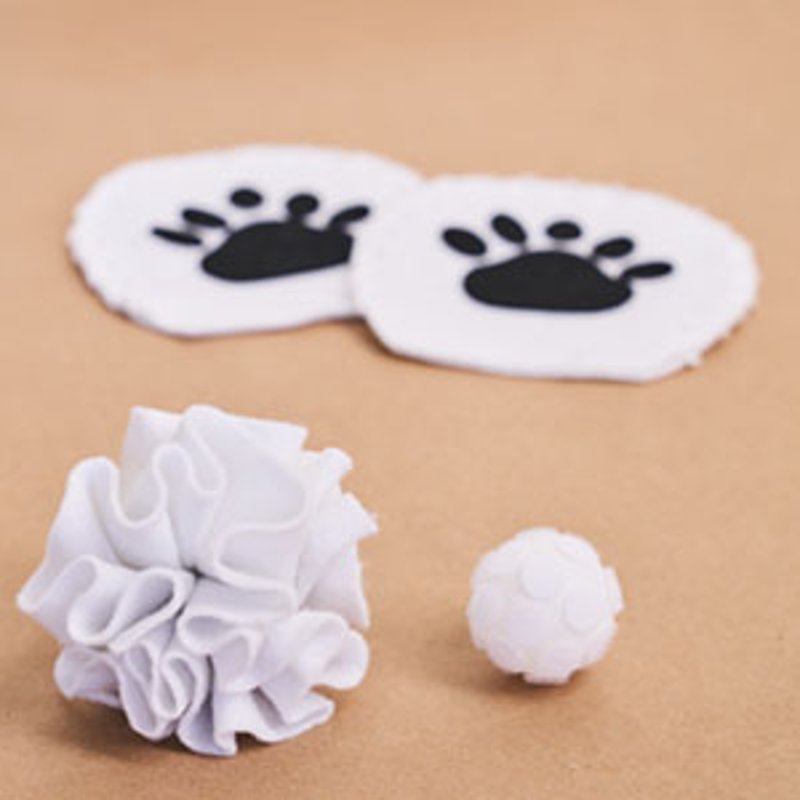 Explore More About Arctic | Koala Crate | KiwiCo