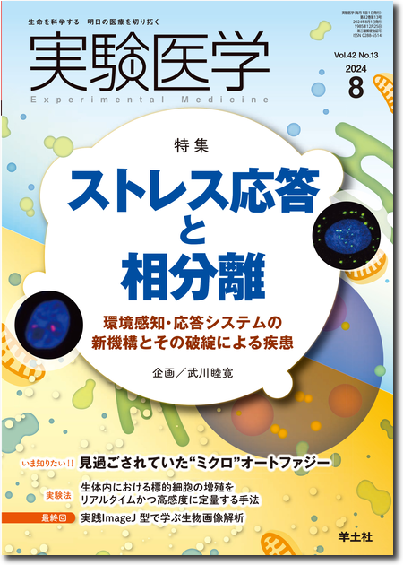 m3電子書籍 | 実験医学 2024年8月号 Vol.42 No.13 ストレス応答と相分離