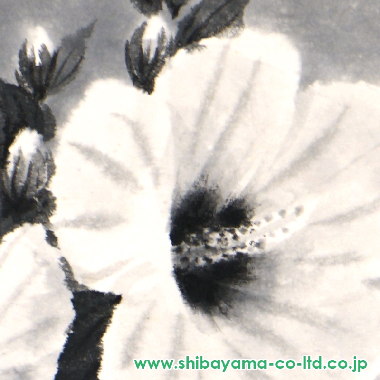 穐月明「芙蓉」日本画 4号 :: 絵画買取・販売 - シバヤマ