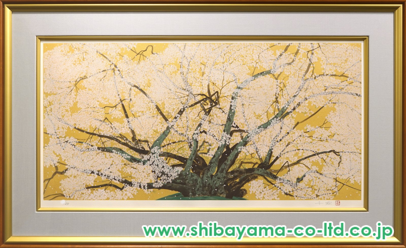 中島千波「素櫻神社の神代櫻」リトグラフ :: 絵画買取・販売 - シバヤマ