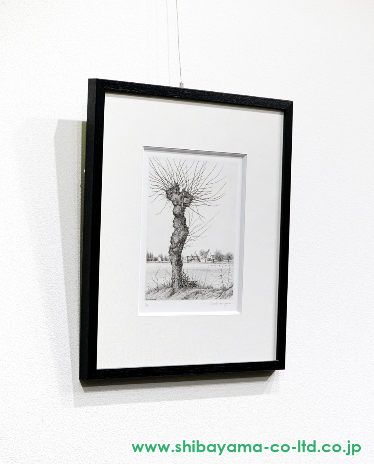 長谷川潔「長谷川潔の肖像より『ニレの老樹』」エッチング :: 絵画買取