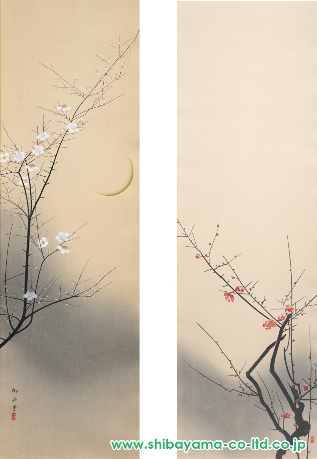 速水 御舟 作品と素描 1、2 速水御舟 作品と素描 全2巻」定価