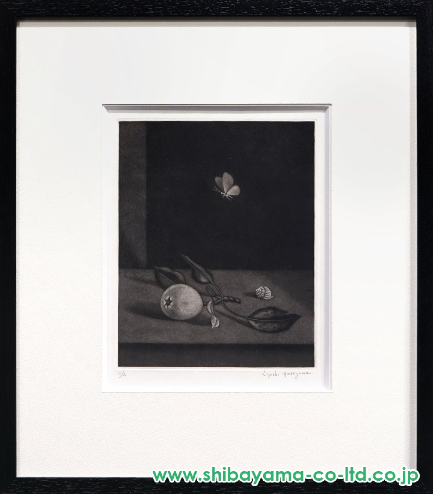 長谷川潔「長谷川潔の肖像より『蝶のいる静物』」マニエル・ノワール