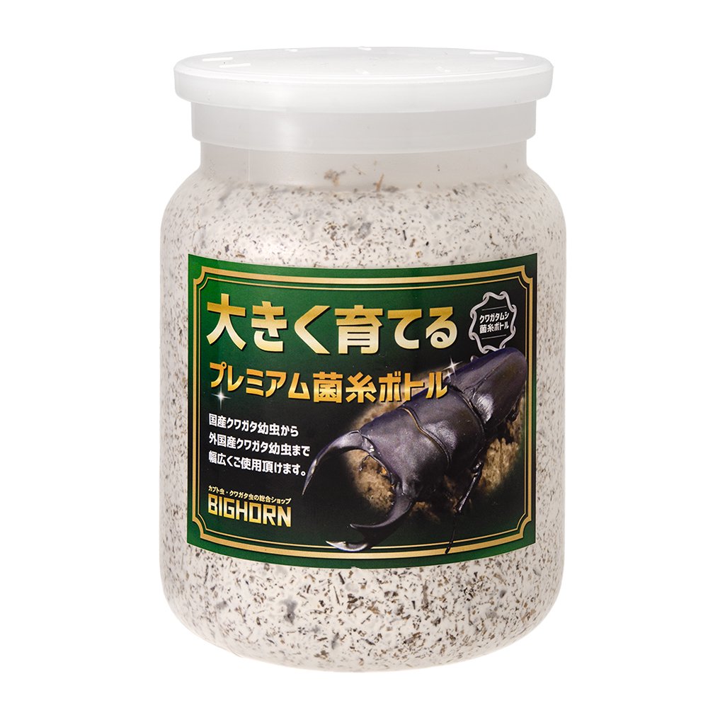 菌糸ビン MIKUプレミアム菌糸ボトル オオヒラタケ 800cc | チャーム