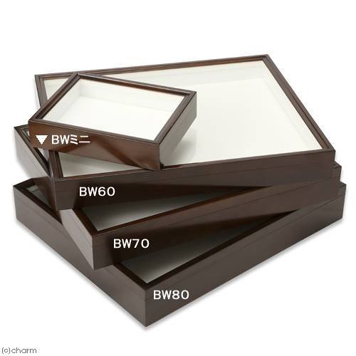 バードウィング製 ドイツ型標本箱 BWミニ (幅25×奥行き20×高さ5.5cm