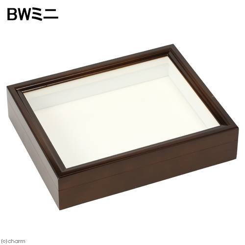 バードウィング製 ドイツ型標本箱 BWミニ (幅25×奥行き20×高さ5.5cm
