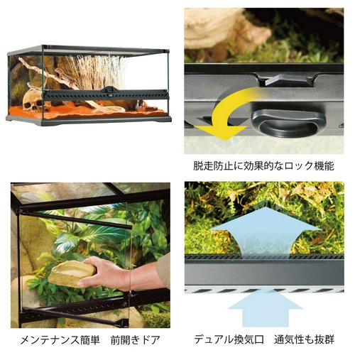 爬虫類ケージ GEX エキゾテラ グラステラリウム 6030 爬虫類 トカゲ