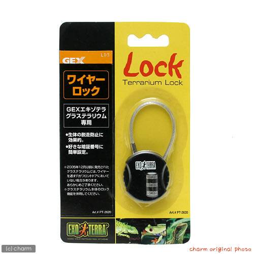GEX エキゾテラ ワイヤーロック エキゾテラ グラステラリウム専用