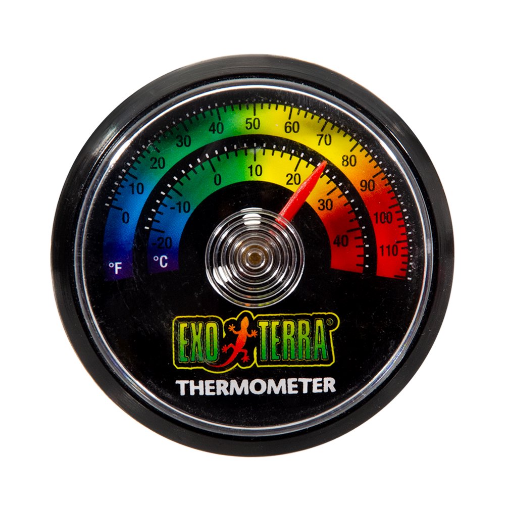GEX エキゾテラ アナログ温度計 爬虫類 | チャーム