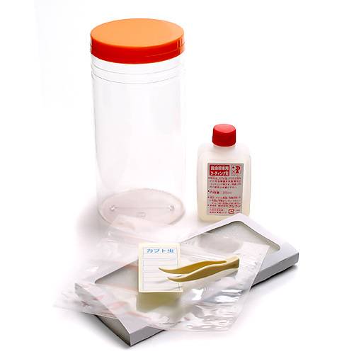 フジコン 標本LABO かんたん昆虫標本セット(1~2匹用) 昆虫 標本用品