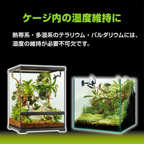 GEX エキゾテラ モンスーンソロ ミスティング カメレオン | チャーム