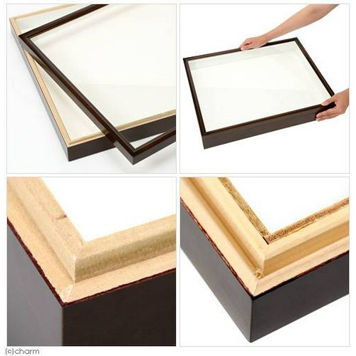 バードウィング製 ドイツ型標本箱 BW70 (幅50.7×奥行き41.8×高さ7cm