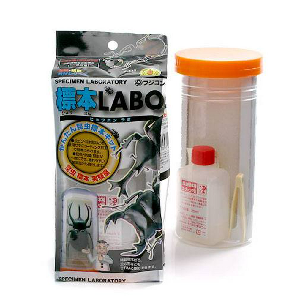 フジコン 標本LABO かんたん昆虫標本セット(1~2匹用) 昆虫 標本用品