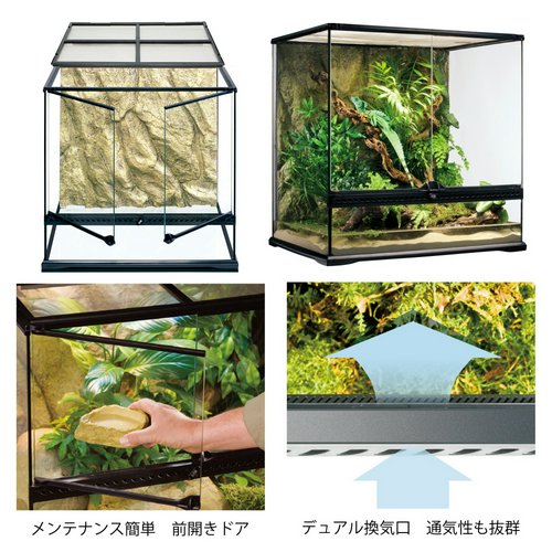 GEX エキゾテラ グラステラリウム 6060 爬虫類 ケージ 代引不可 | チャーム