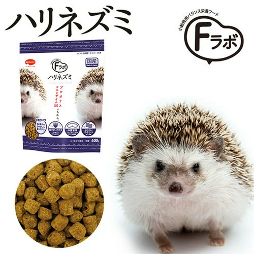 初めてのハリネズミ飼育セット | チャーム