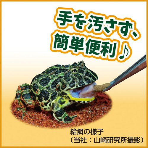 キョーリン ひかりベルツノ 120g カエル 餌 ツノガエル | チャーム