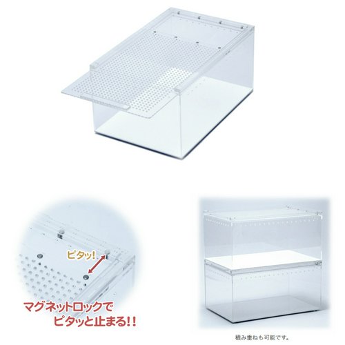 三晃商会 レプタイルボックス+プロバグズ爬虫類3種(保存袋付)セット