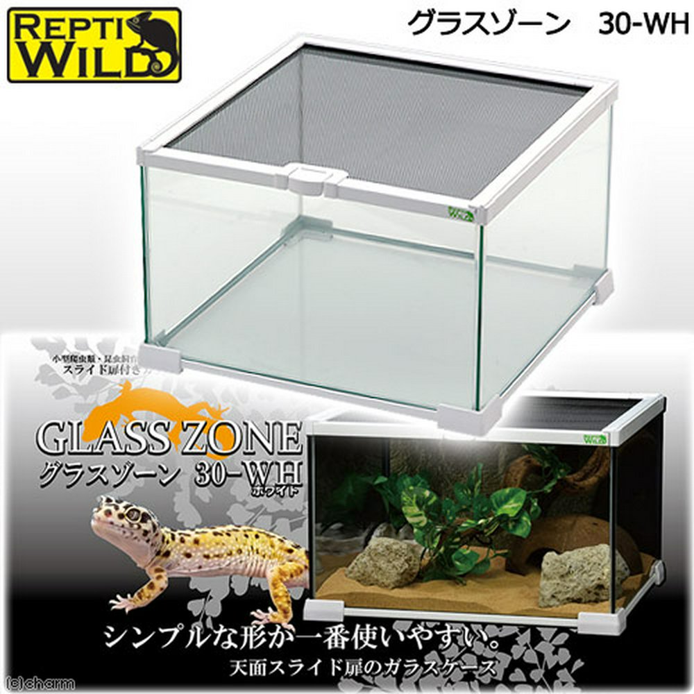 中型ガラスケージ 爬虫類用 自然レイアウト