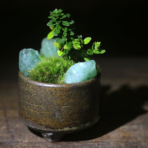 盆栽蜂超希少激レア松皮盆栽鉢時代3つ足山野草鉢草もの盆栽鉢置き物