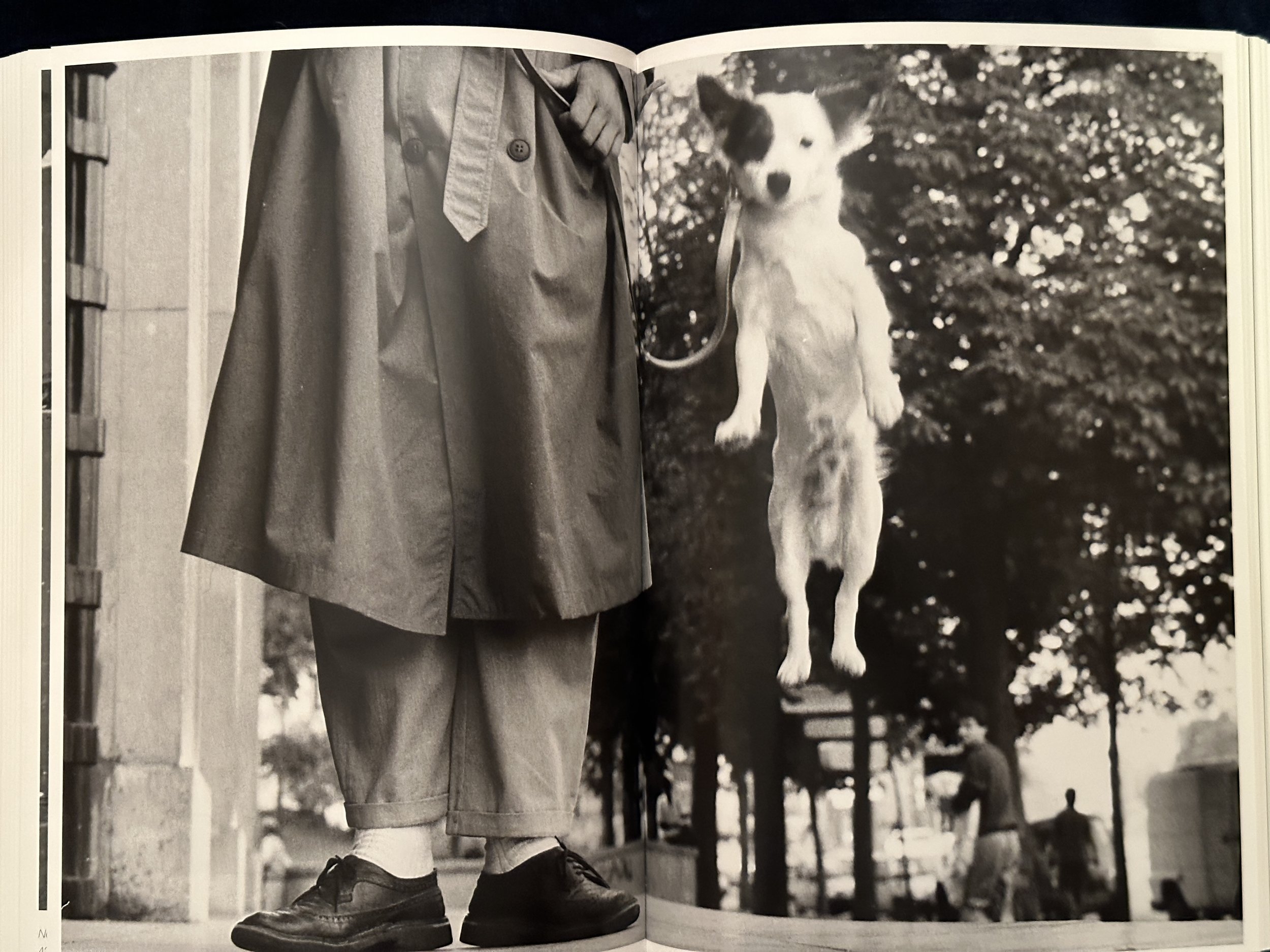 Books - PhotoBookArts