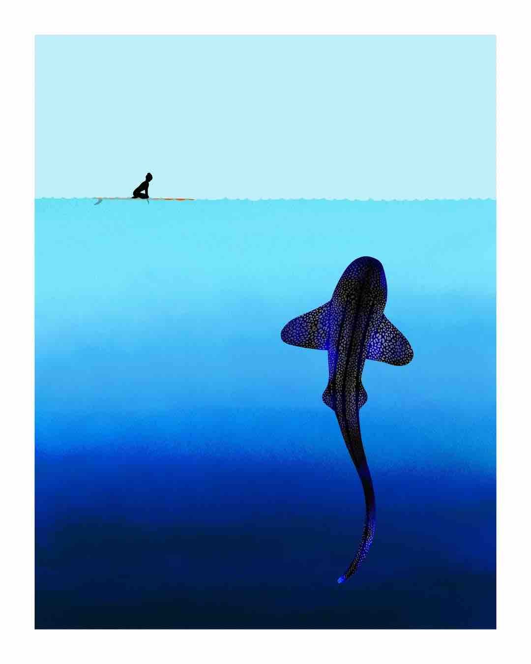 Jonas Claesson Whale Shark — Polu Gallery