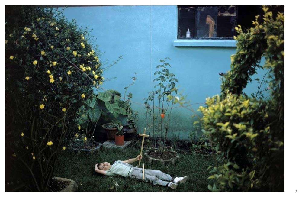 Wild Flowers - 2021 Edition — Joel Meyerowitz