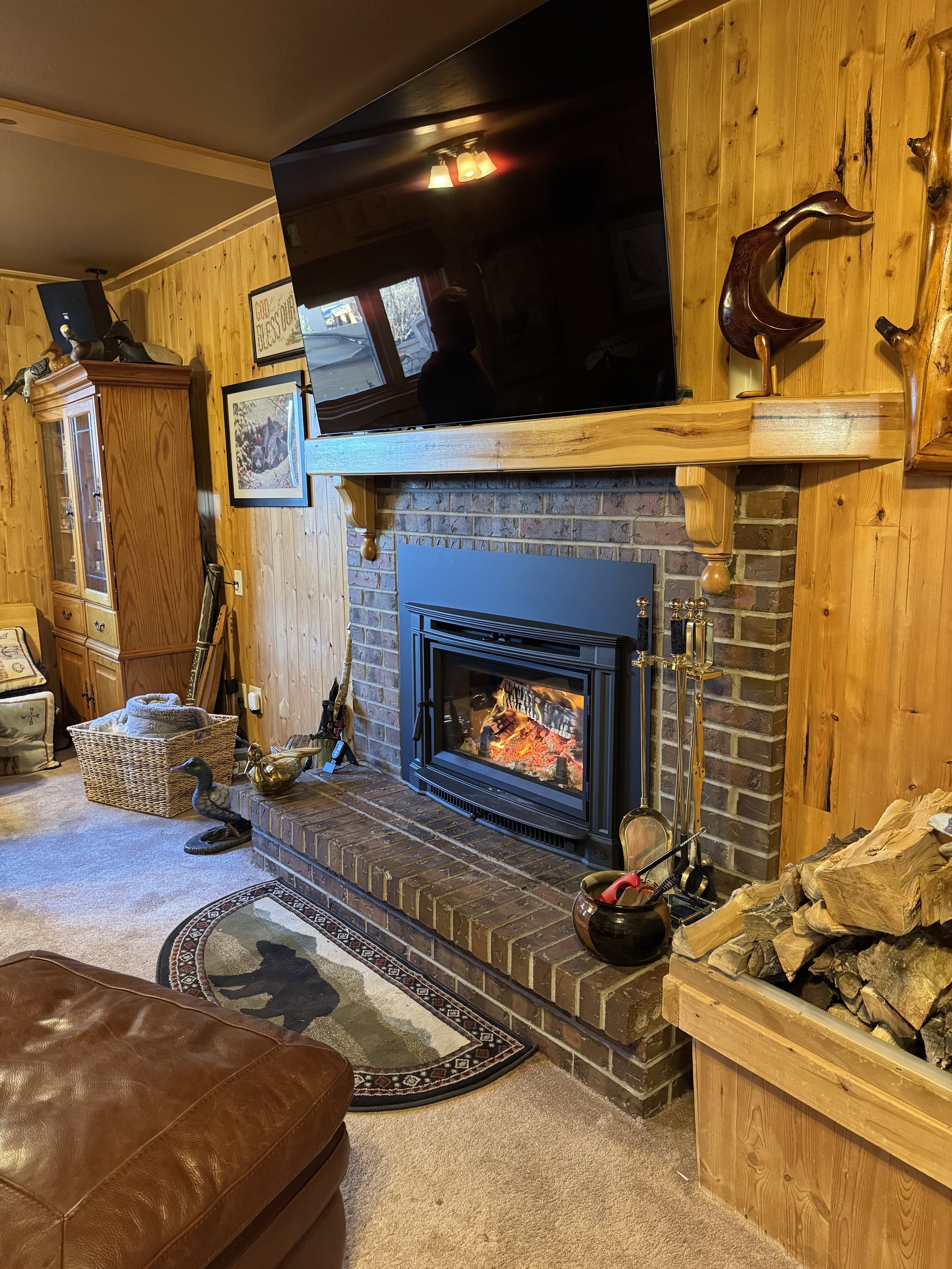 FireplaceX Large Flush NexGen Hybrid — Woodstove Insert