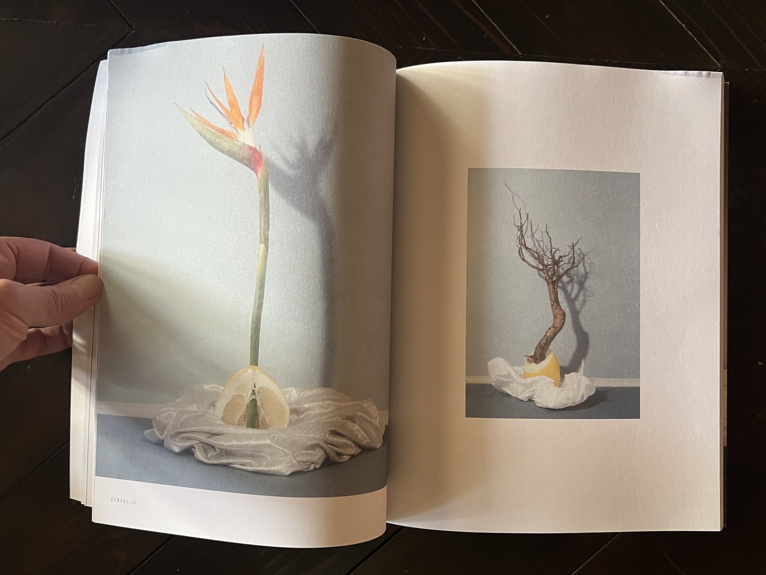 Cereal Magazine (set of 3) — The Good Bower