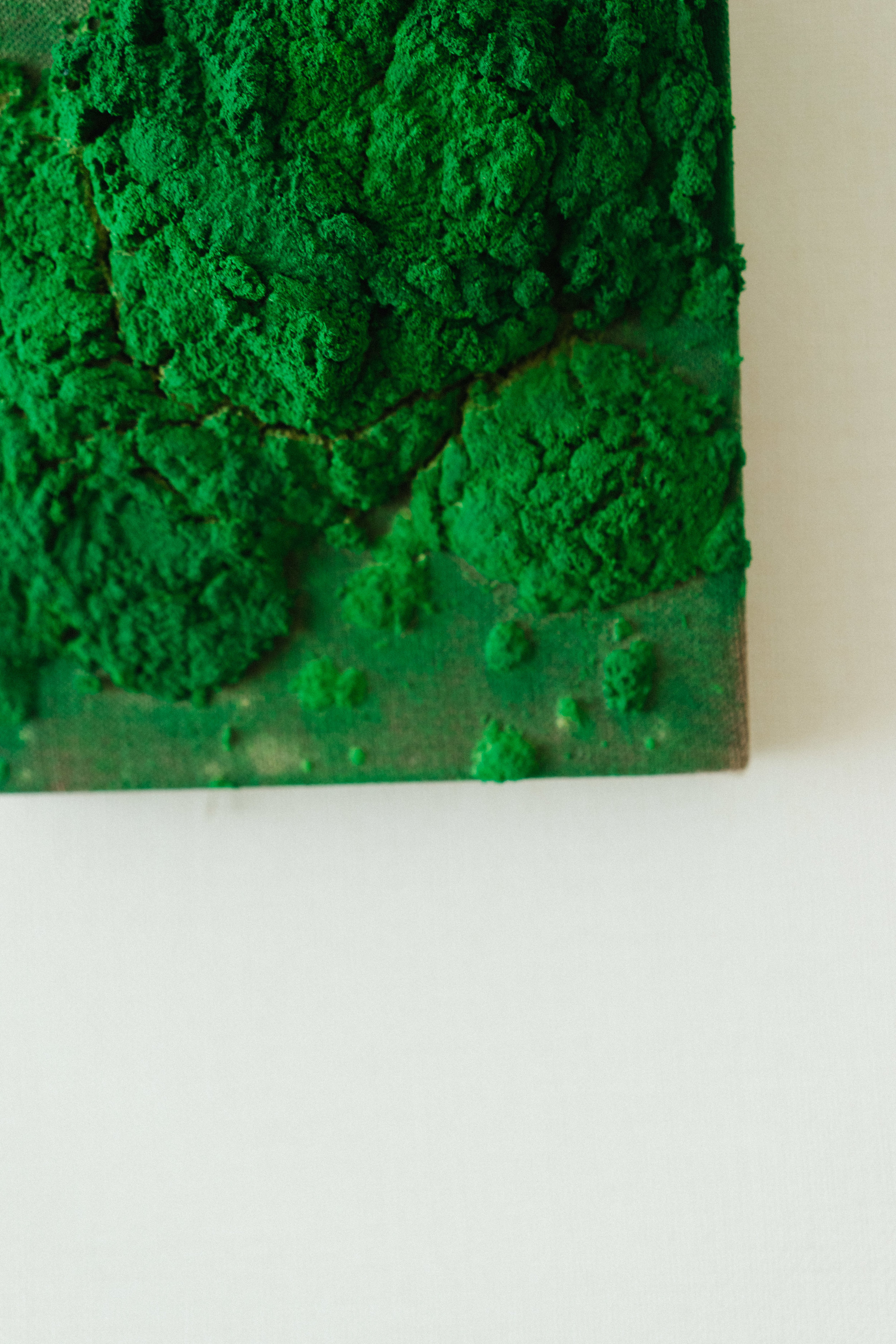 Bosco Sodi ボスコ・ソディ — Kawaguchi Collection