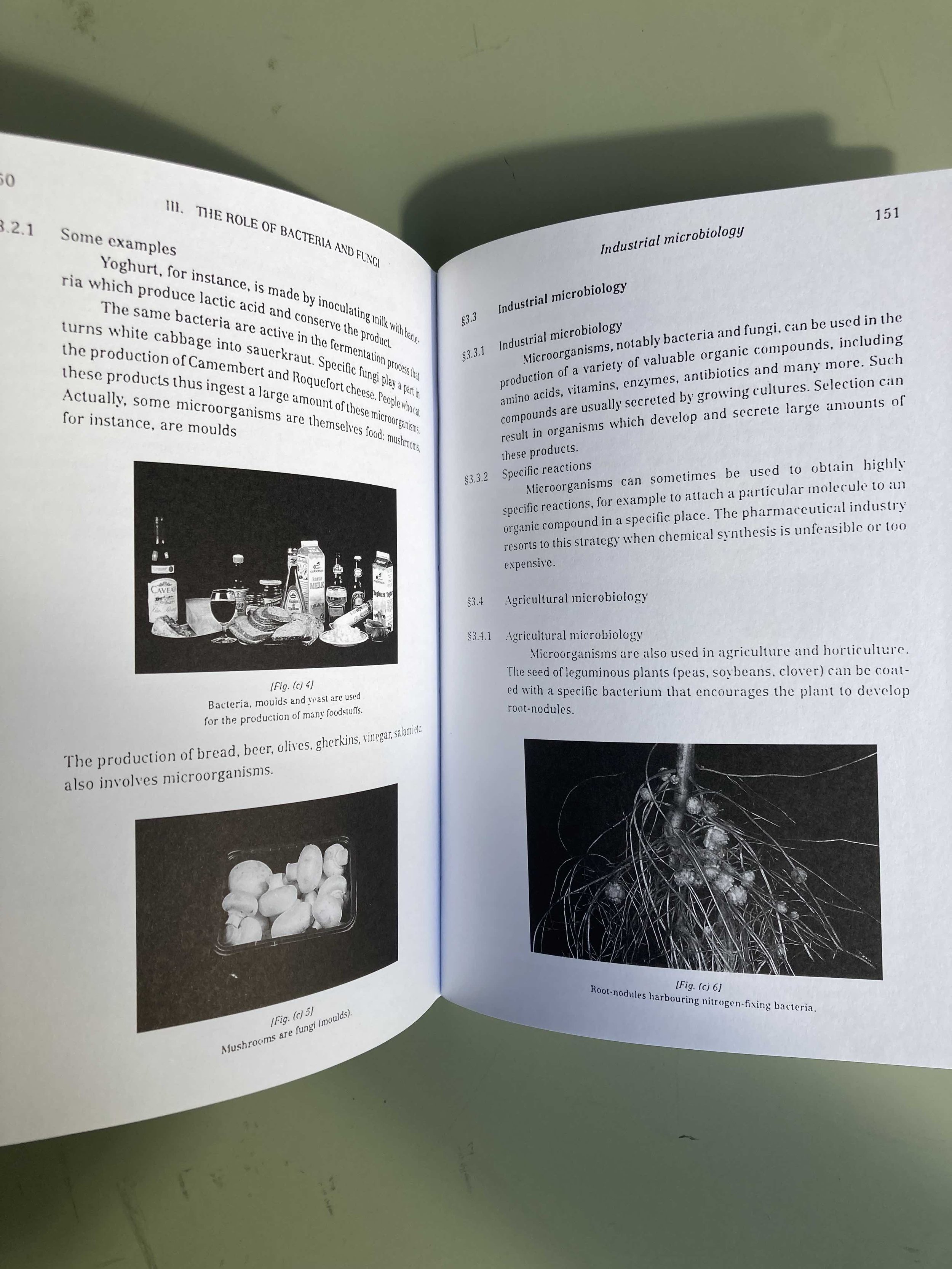 La Maison Martin Margiela: (9/4/1615)（洋書／英語） — Modernist