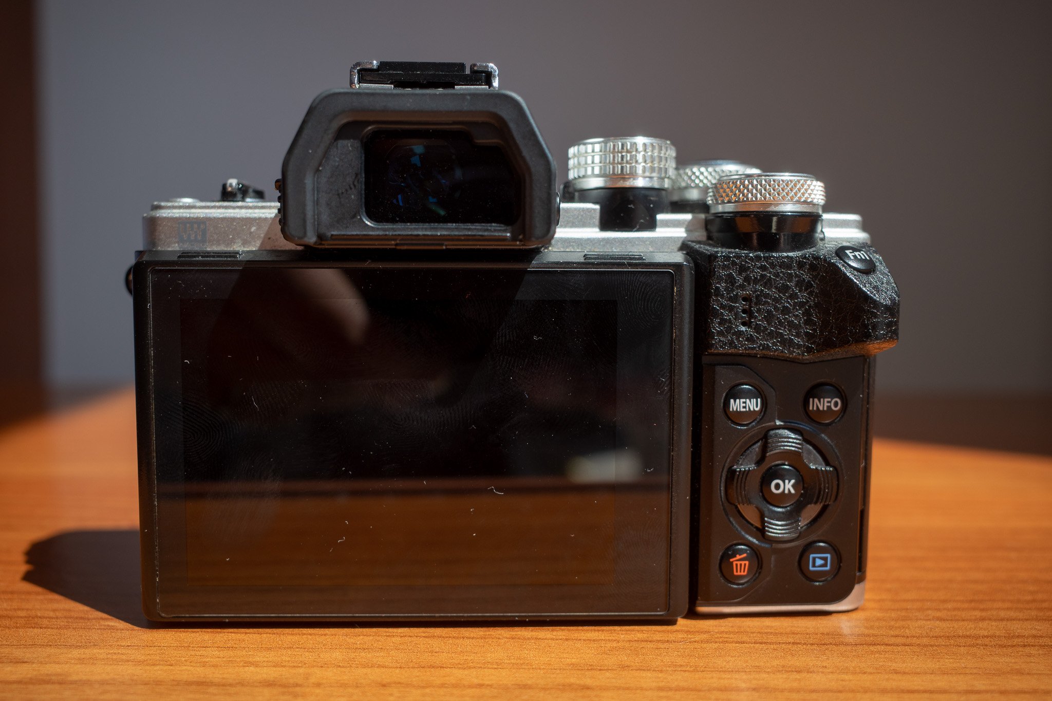 Olympus E-M10 Mark ii Review in 2024 - The Value King — Luke