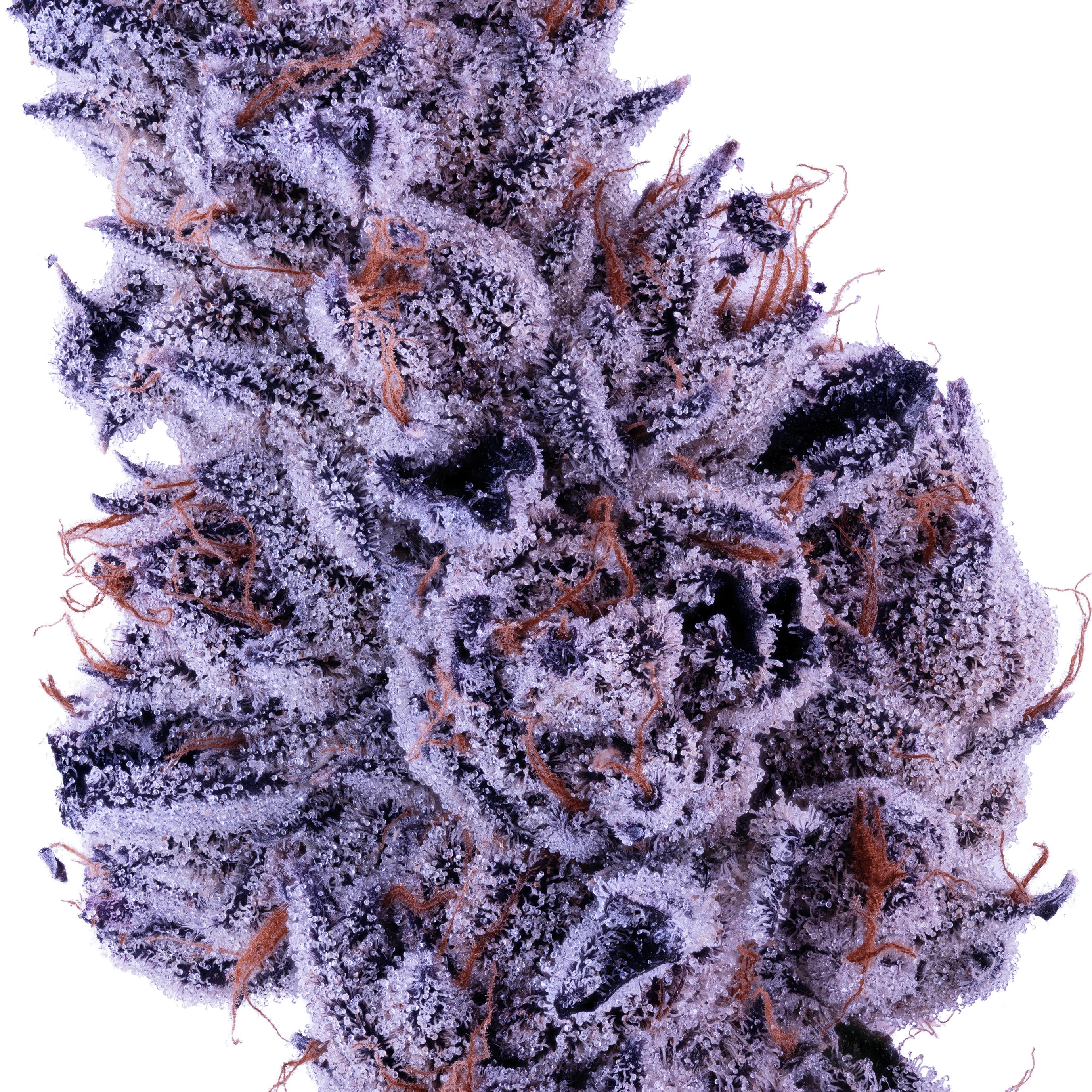 Evergreen OC - Taxes Included Weed Flower | Order Online