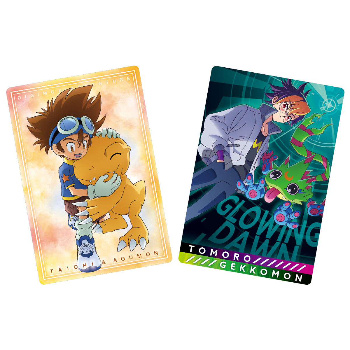 New Premium Bandai Pre-Orders- Digimon Visual Art Collection Card