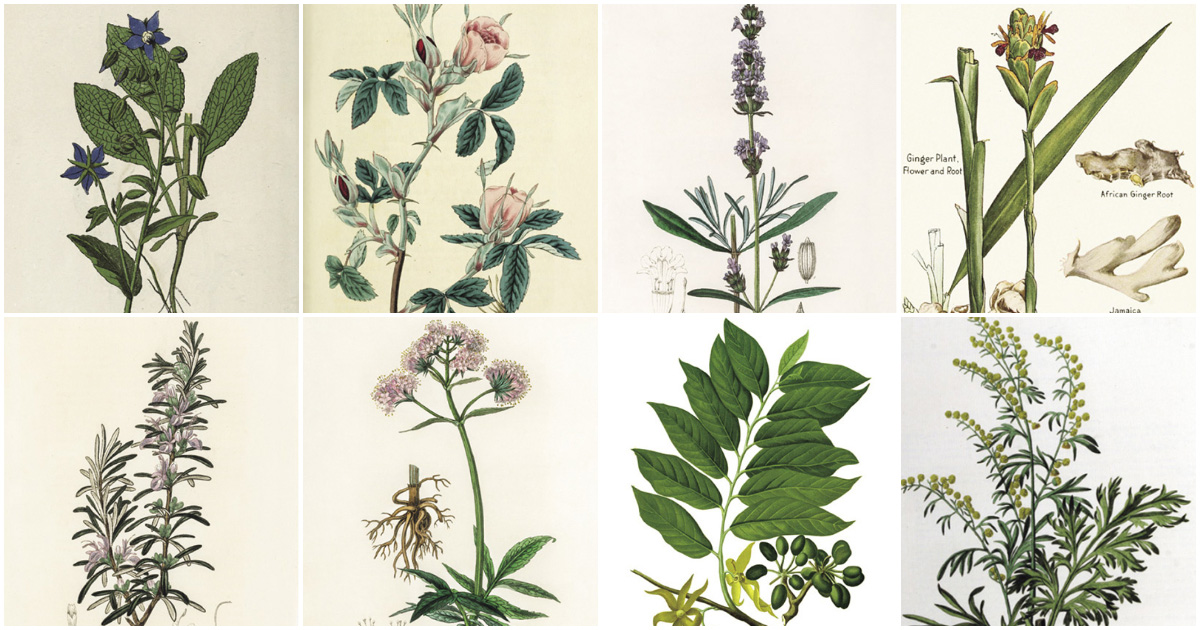 main_450370c193135bdd1a38c3639