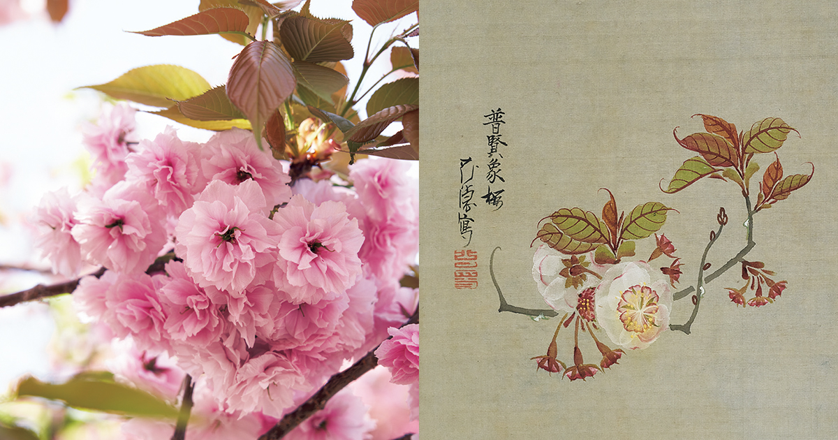 main_acd3ba845a1180f5b57d2b4e5