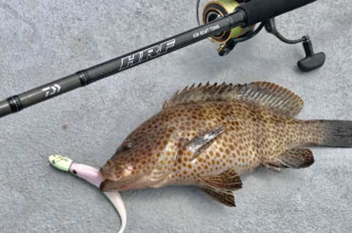 ダイワHRFの新製品『HRF® AIR BOAT』大物対応の本格ボートロックロッド