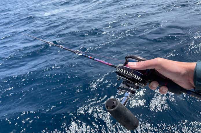 ディープライナー マニアフェローズ 46 ディープライナー マニア