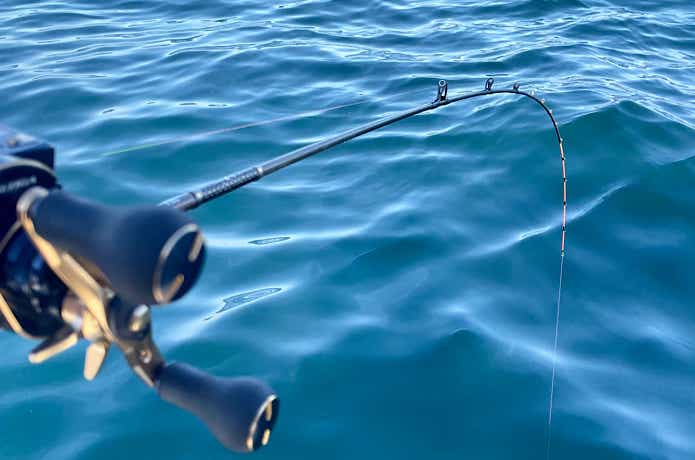 紅牙 EXを実釣インプレ！使ってわかったフラッグシップモデルの魅力と