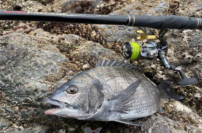 a*︎様 ダイワインターライン インプレッサ 遠投 3号 52 f