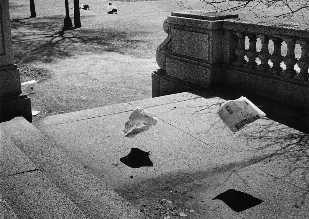 石元泰博生誕100年記念展「Yasuhiro Ishimoto」造形への深い興味に焦点