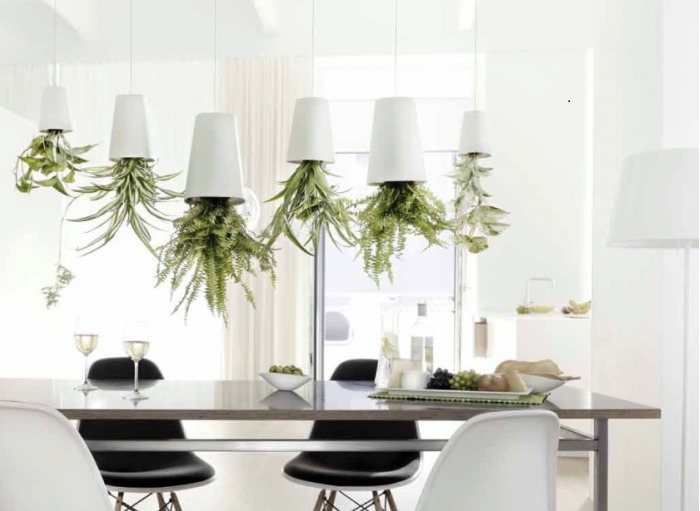 なぜこぼれない？！ 逆さ吊りの観葉植物・スカイプランターは実用性