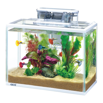 スリムアクアセット 500 DC-X M3 | 水中生物用品・水槽用品 通販